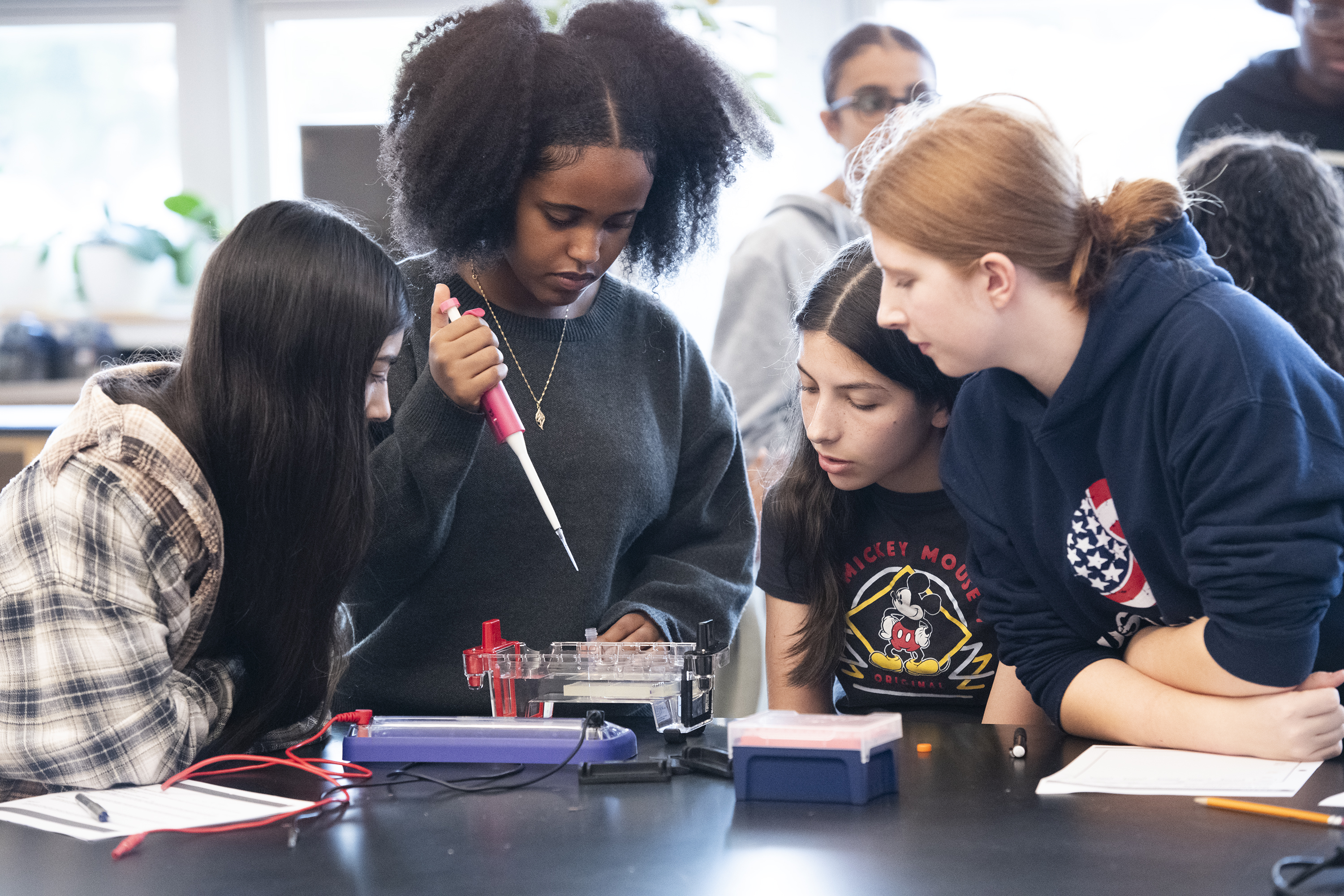 report cards, credit report.jpg