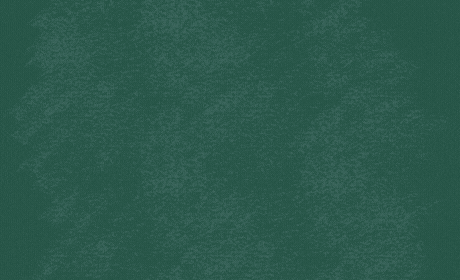 contact.gif