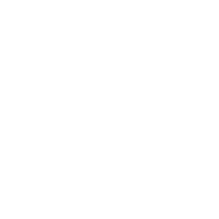 Staff Picks - Books