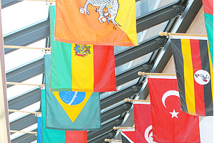 Photo of flags