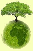 Living Green