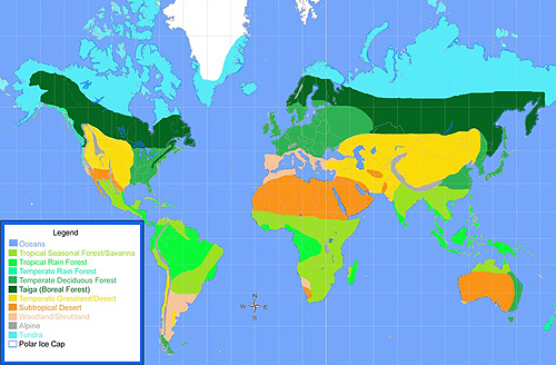 Biome Map