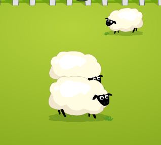 sheep